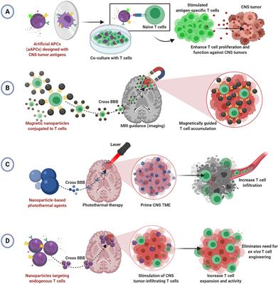 Nanoparticles for Enhanced Adoptive T Cell Therapies and Future Perspectives for CNS Tumors